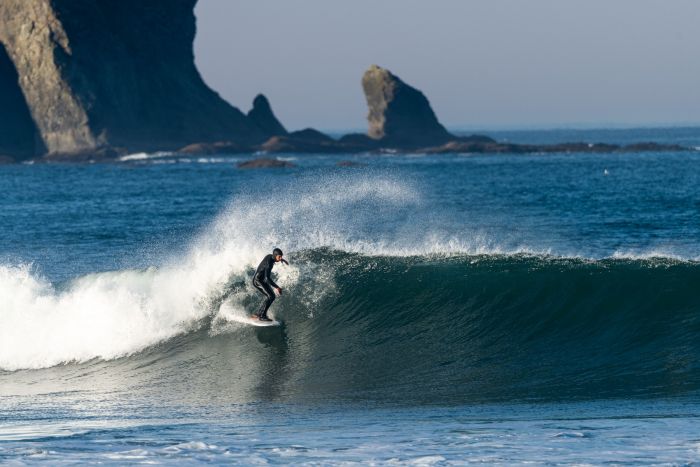LIBTECH SURFBOARD HYDRA 5'5"/リブテック サーフボード ハイドラ