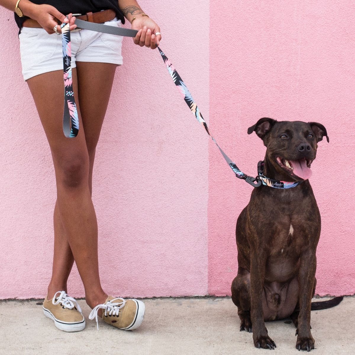 犬用リード リーズドッグサプライ(全24種類)/Leeds Dog Supply LEAD