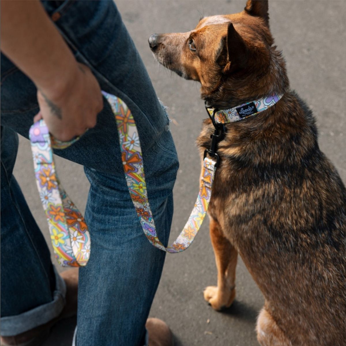 犬用リード リーズドッグサプライ(全24種類)/Leeds Dog Supply LEAD