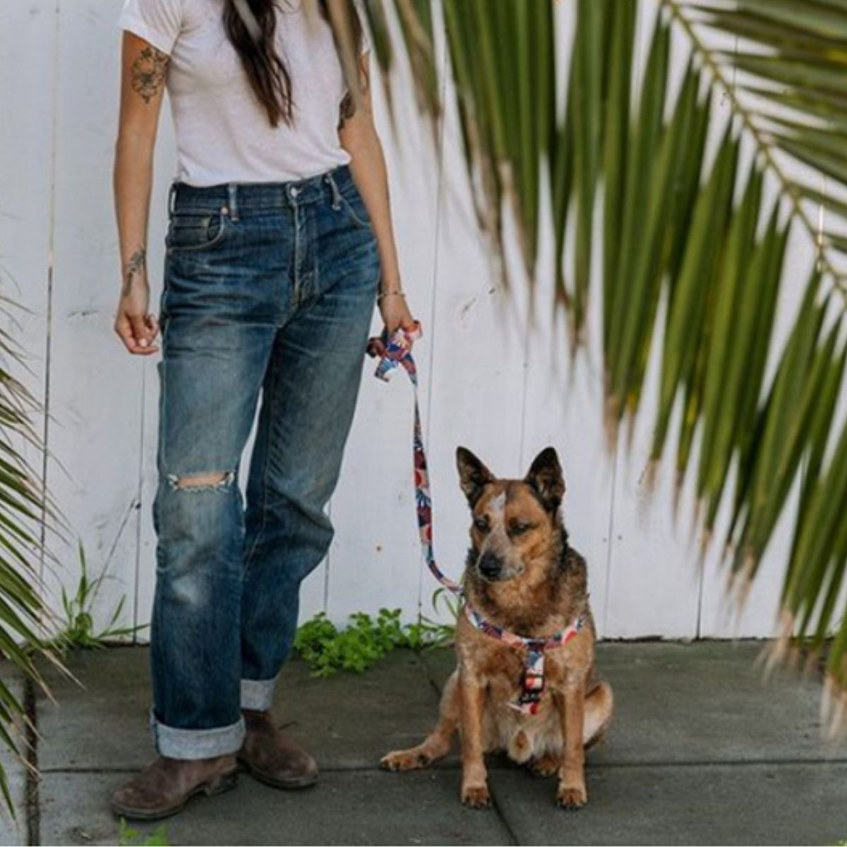 Leeds Dog Supply Harness STELLA Mサイズ リーズドッグサプライ ハーネス ステラ|おしゃれで快適な犬用品