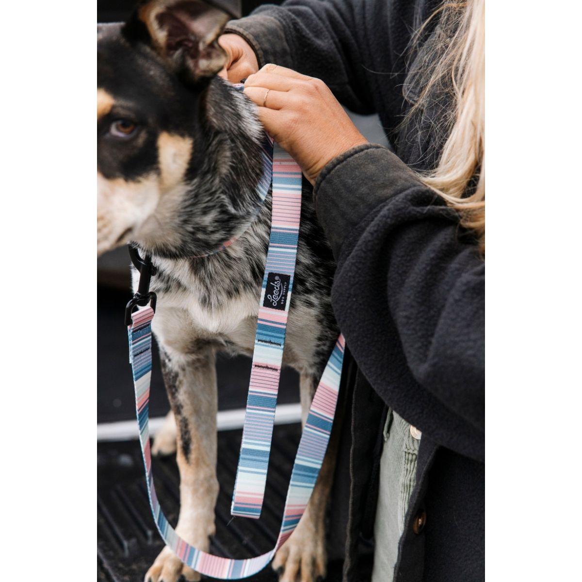 犬用リード リーズドッグサプライ(全24種類)/Leeds Dog Supply LEAD