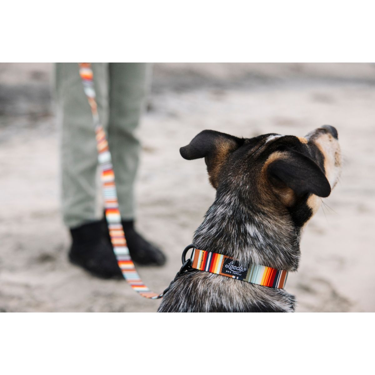 Leeds Dog Supply PONCHO リーズドッグサプライ ポンチョ｜おしゃれで快適な犬用品