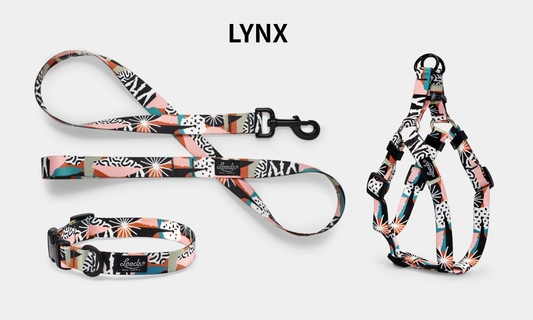 Leeds Dog Supply LYNX リーズドッグサプライ リンクス｜おしゃれで快適な犬用品