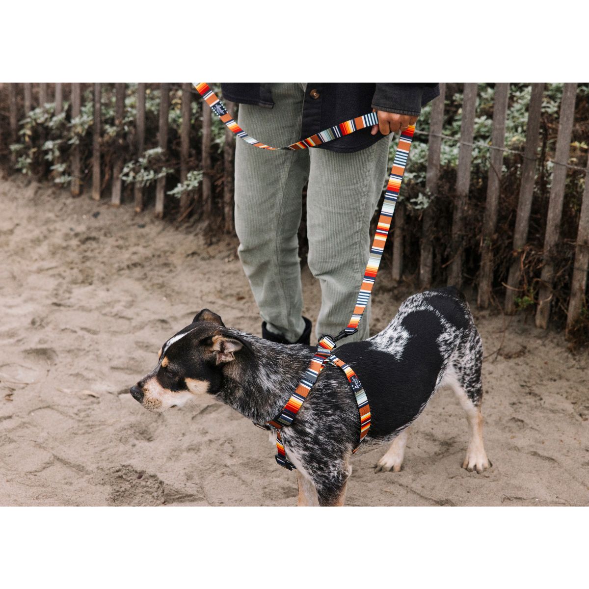 Leeds Dog Supply PONCHO リーズドッグサプライ ポンチョ｜おしゃれで快適な犬用品