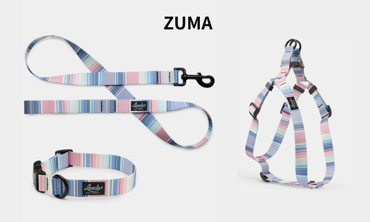 Leeds Dog Supply ZUMA リーズドッグサプライ ズーマ｜おしゃれで快適な犬用品