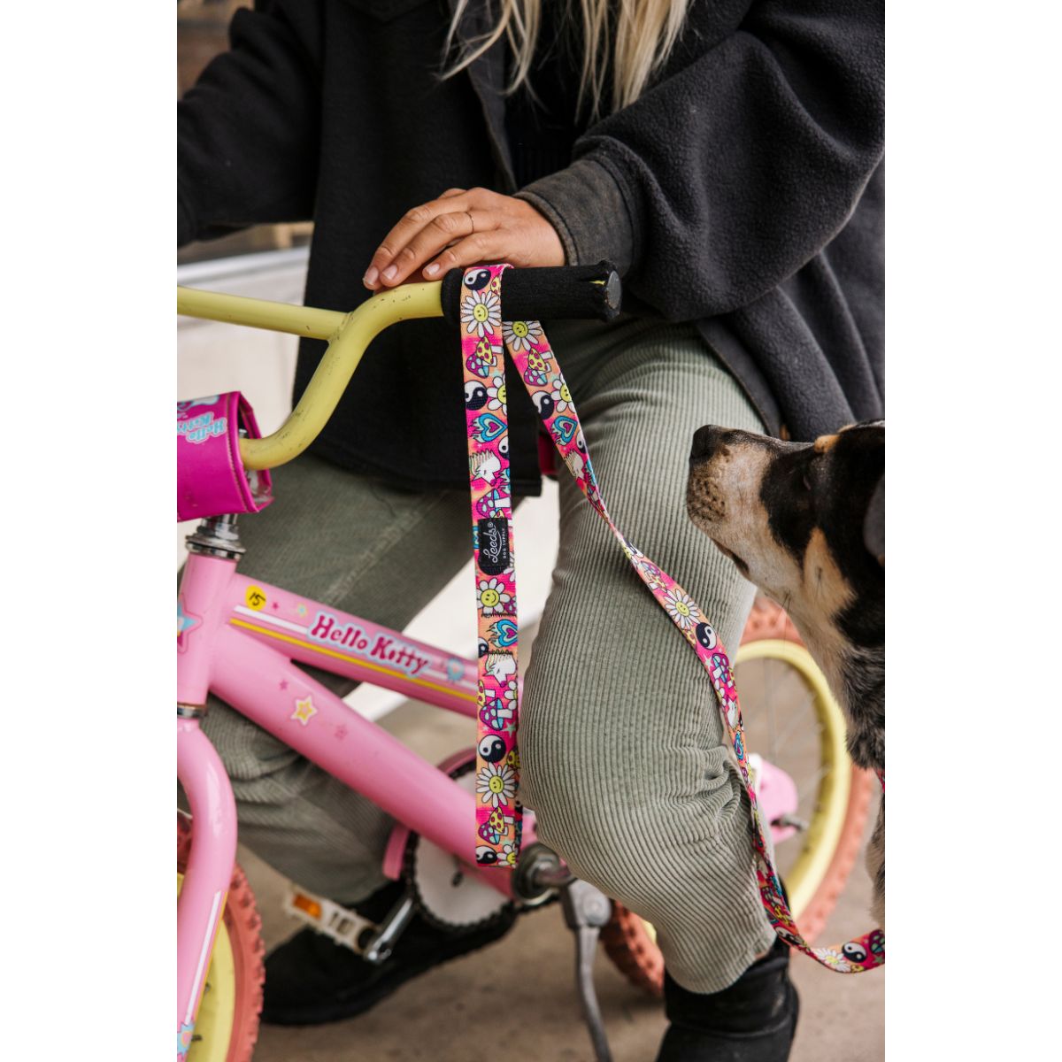 Leeds Dog Supply LUCKY リーズドッグサプライ ラッキー｜おしゃれで快適な犬用品