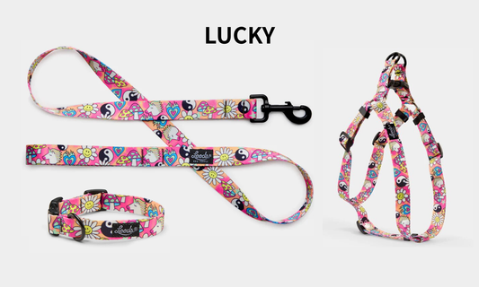 Leeds Dog Supply LUCKY リーズドッグサプライ ラッキー｜おしゃれで快適な犬用品
