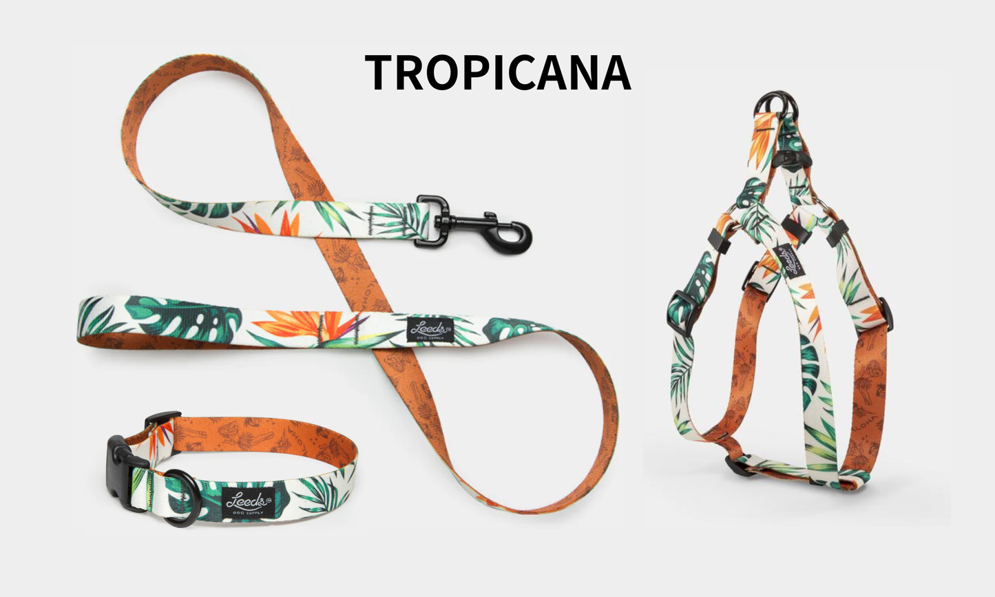 Leeds Dog Supply TROPICANA リーズドッグサプライ トロピカーナ｜おしゃれで快適な犬用品