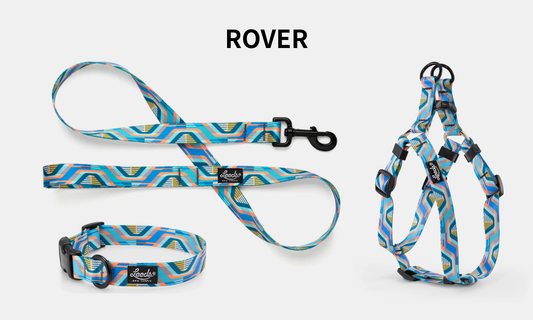 Leeds Dog Supply ROVER リーズドッグサプライ ローバー｜おしゃれで快適な犬用品