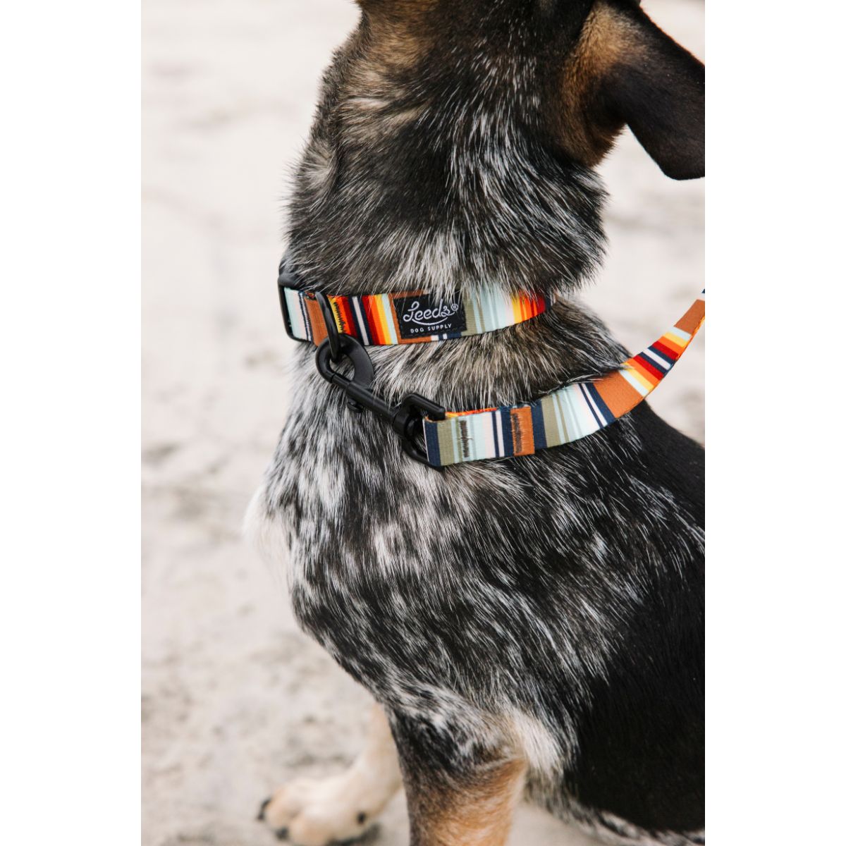 Leeds Dog Supply PONCHO リーズドッグサプライ ポンチョ｜おしゃれで快適な犬用品