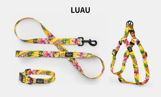Leeds Dog Supply LUAU リーズドッグサプライ ルアウ｜おしゃれで快適な犬用品