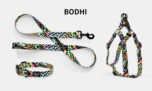Leeds Dog Supply BODHI リーズドッグサプライ ボダイ｜おしゃれで快適な犬用品