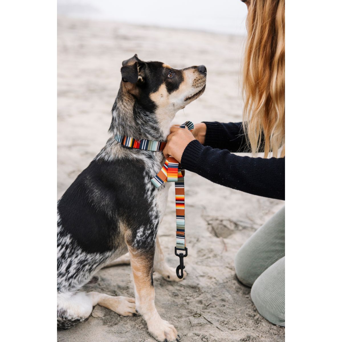 Leeds Dog Supply PONCHO リーズドッグサプライ ポンチョ｜おしゃれで快適な犬用品