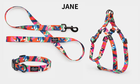 Leeds Dog Supply JANE リーズドッグサプライジェーン｜おしゃれで快適な犬用品
