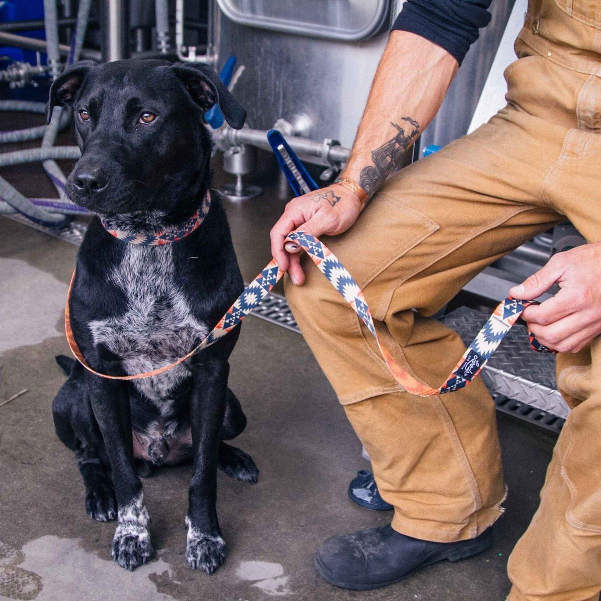 犬用リード リーズドッグサプライ(全24種類)/Leeds Dog Supply LEAD