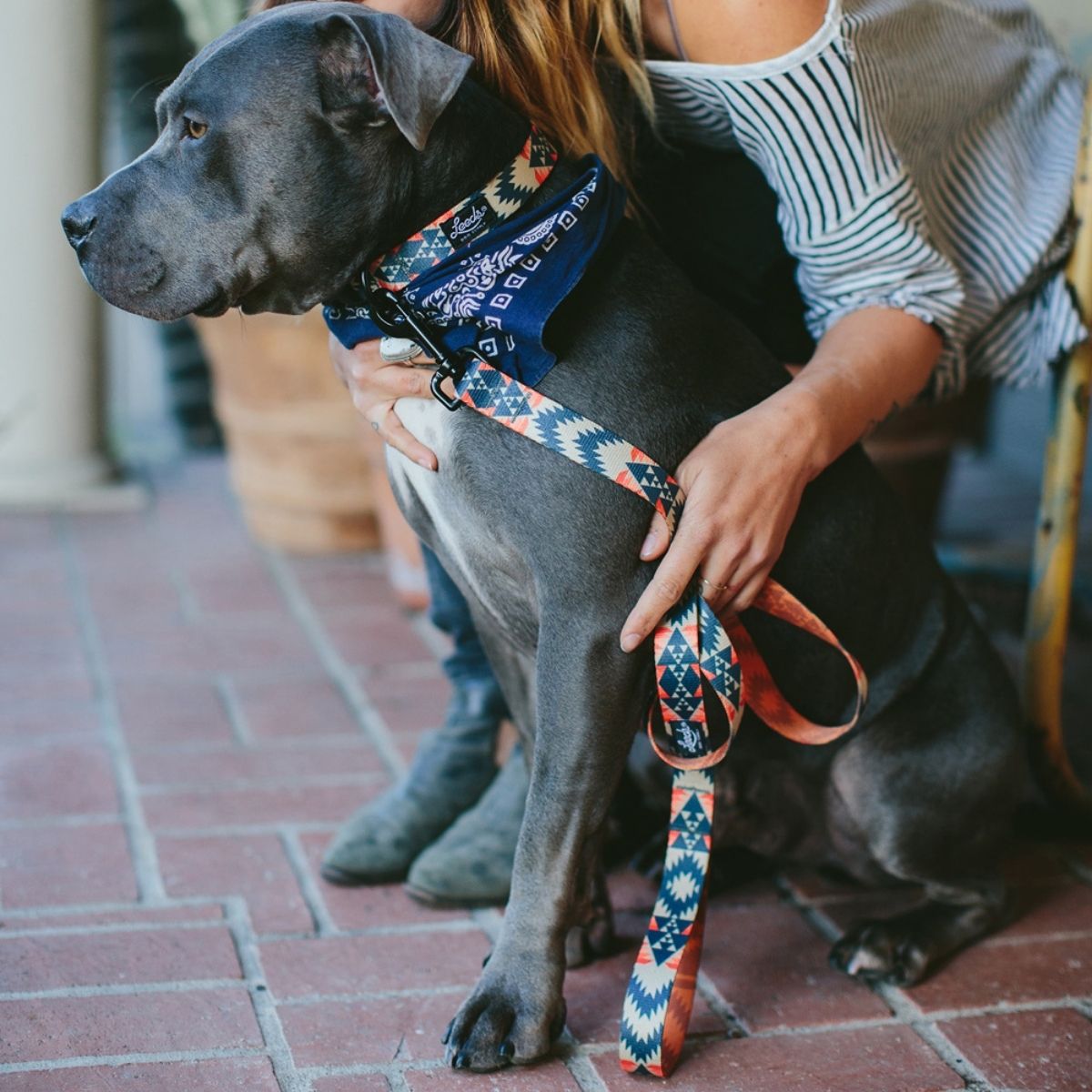 犬用リード リーズドッグサプライ(全24種類)/Leeds Dog Supply LEAD