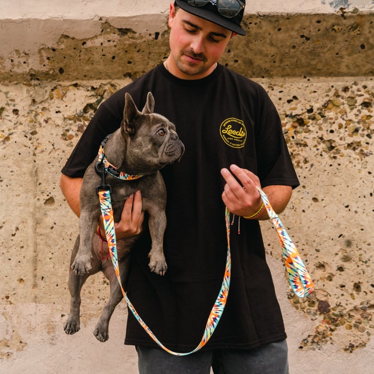 犬用リード リーズドッグサプライ(全24種類)/Leeds Dog Supply LEAD
