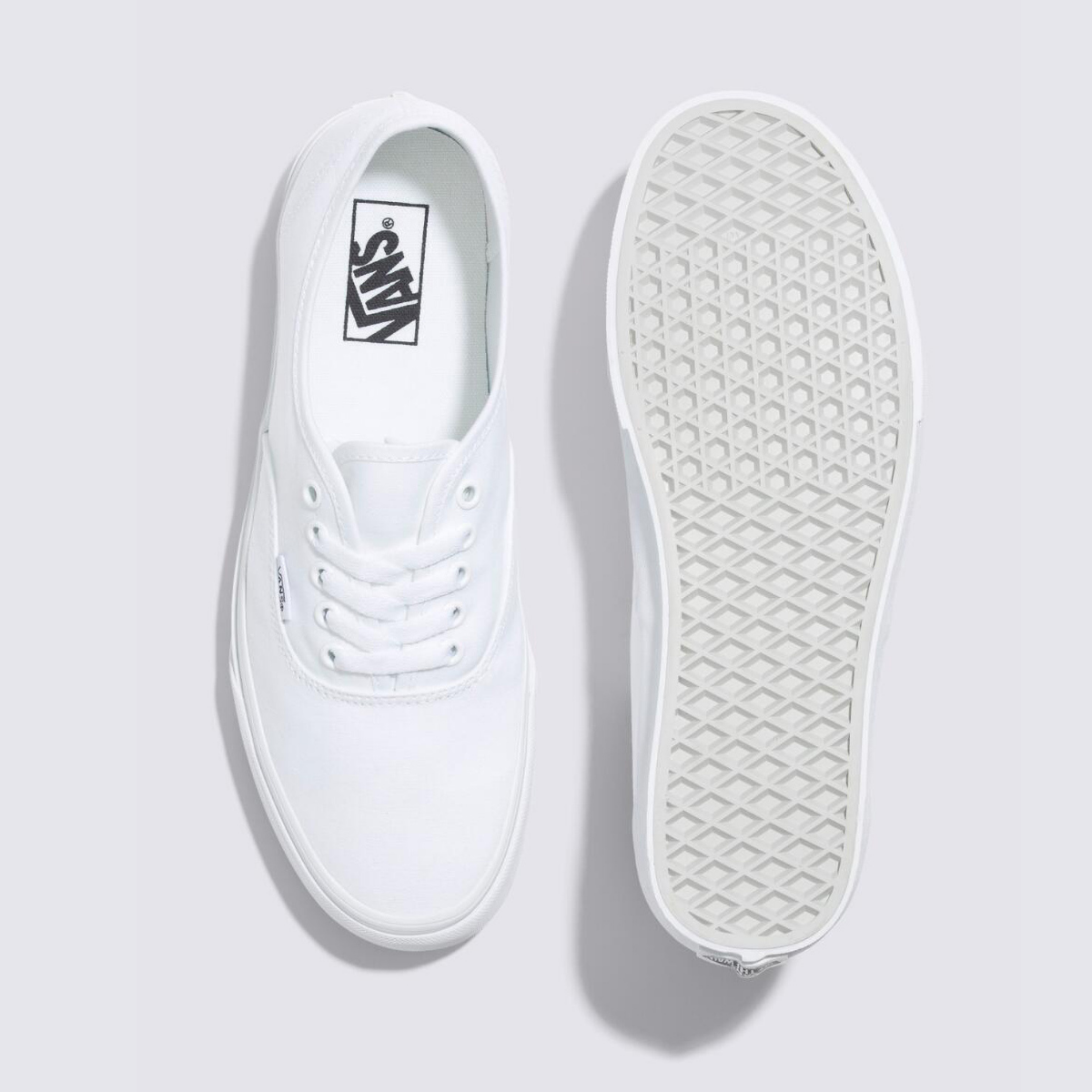 VANS AUTHENTIC True white / ヴァンズ オーセンティック トゥルーホワイト