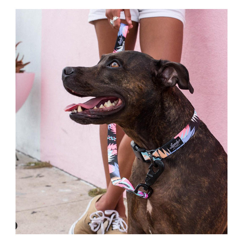 Leeds Dog Supply Harness BERNIE リーズドッグサプライ ハーネス バーニー｜おしゃれで快適な犬用品