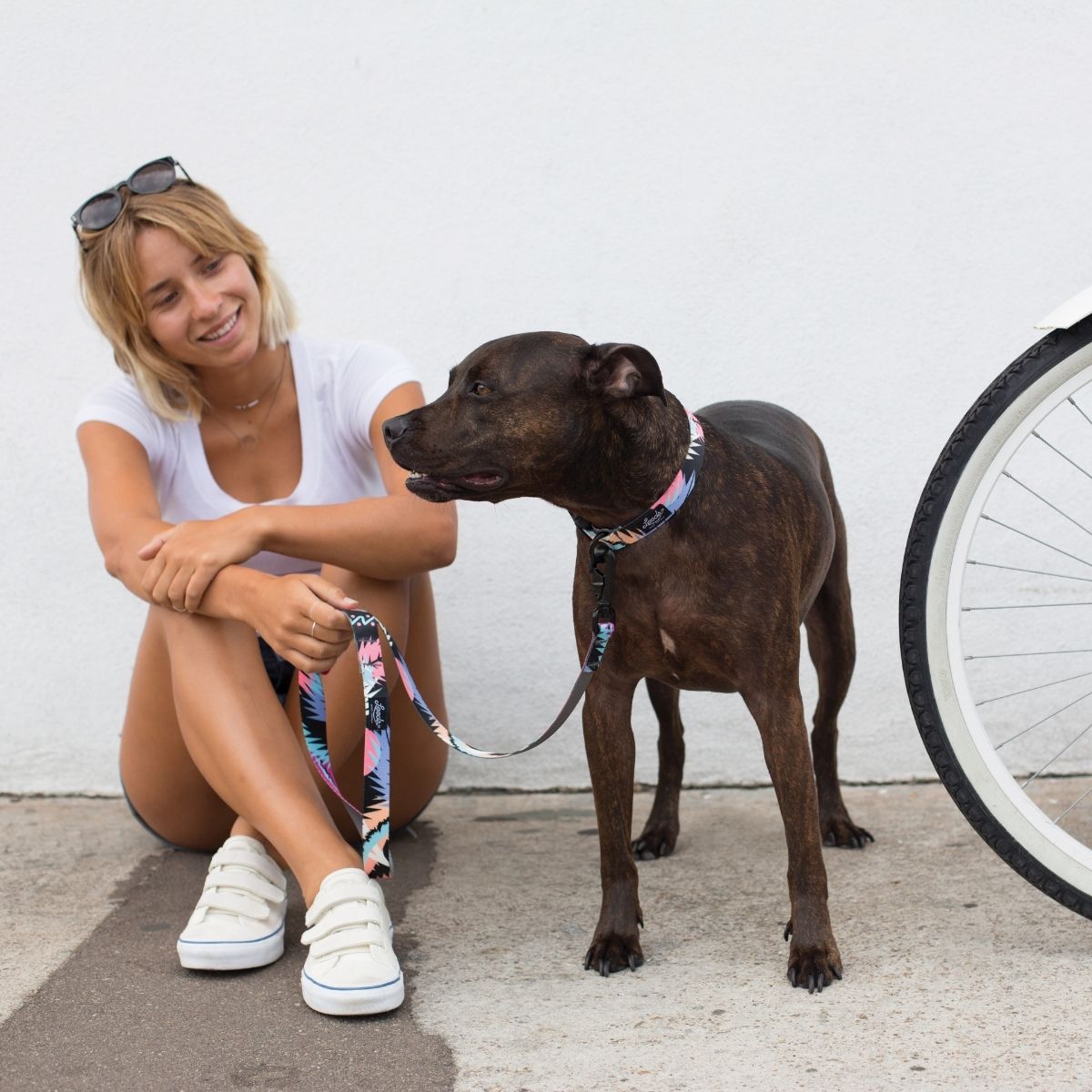 Leeds Dog Supply Harness BERNIE リーズドッグサプライ ハーネス バーニー｜おしゃれで快適な犬用品