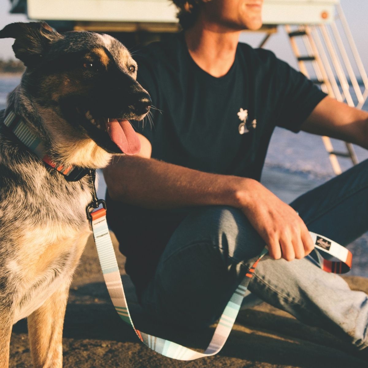 犬用リード リーズドッグサプライ(全24種類)/Leeds Dog Supply LEAD