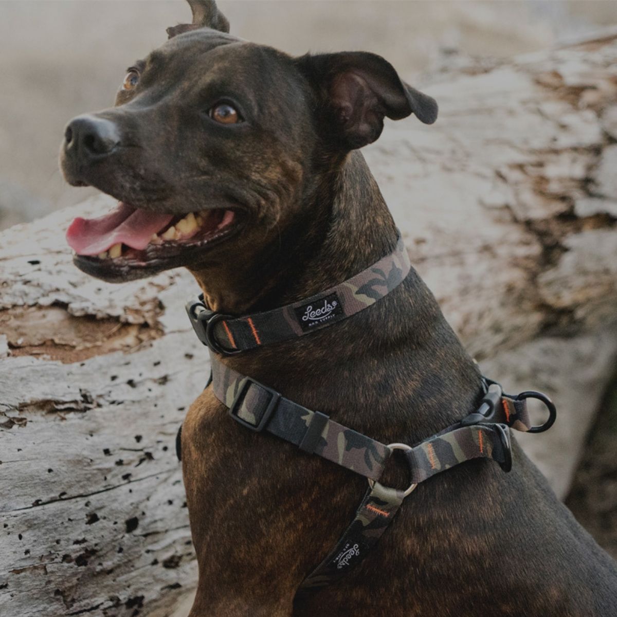 Leeds Dog Supply HANK リーズドッグサプライ ハンク ｜おしゃれで快適な犬用品