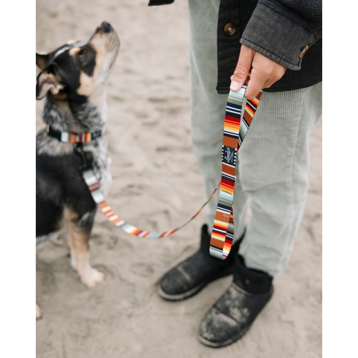犬用リード リーズドッグサプライ(全24種類)/Leeds Dog Supply LEAD