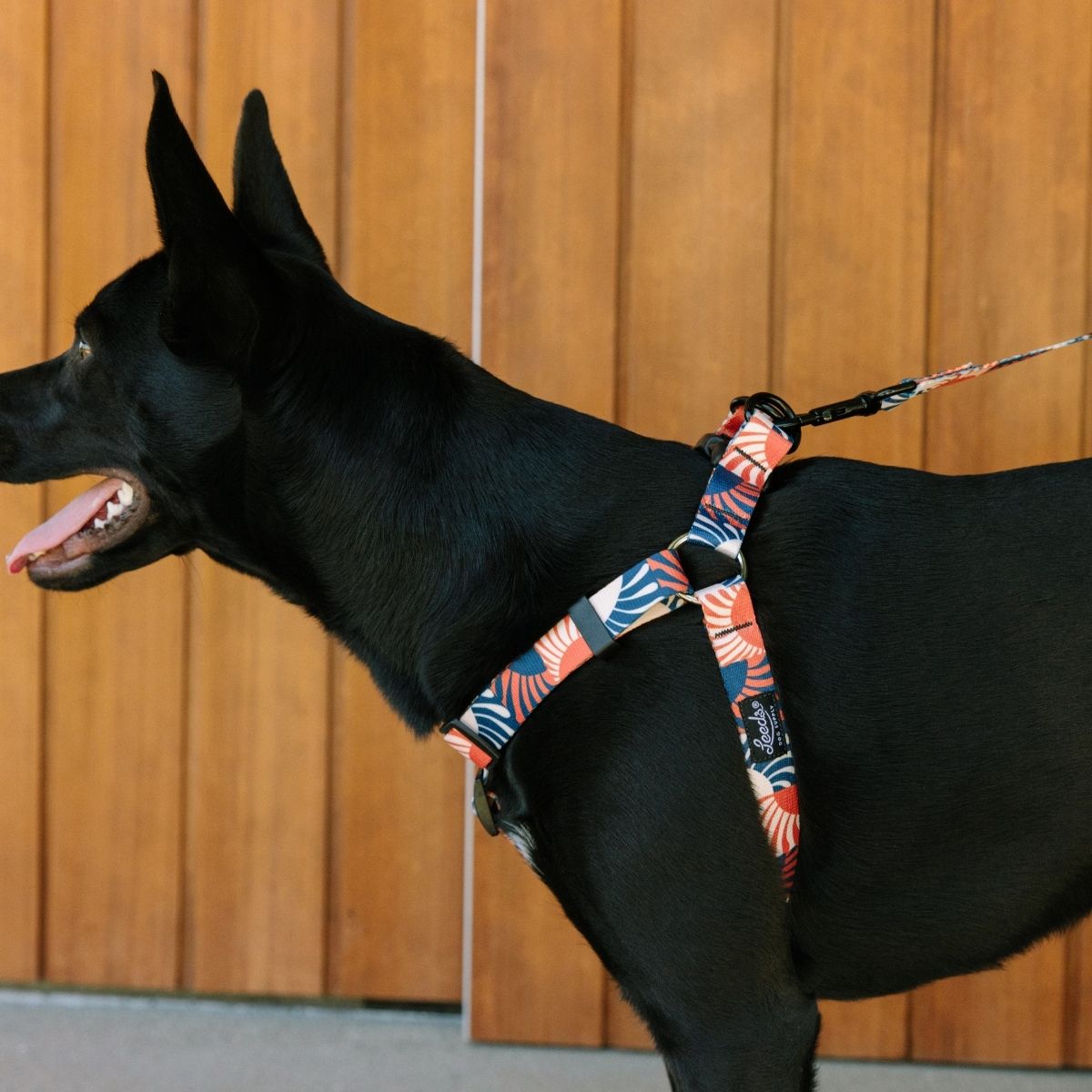 Leeds Dog Supply Harness STELLA Mサイズ リーズドッグサプライ ハーネス ステラ｜おしゃれで快適な犬用品