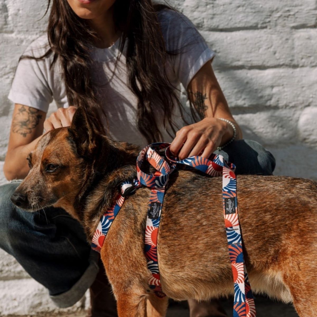 Leeds Dog Supply Harness STELLA Mサイズ リーズドッグサプライ ハーネス ステラ｜おしゃれで快適な犬用品